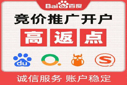 企业SEM服务实战案例解析