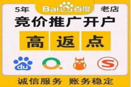 SEM投放案例：打造高转化率广告